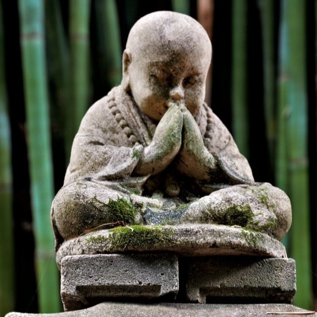 Praying Buddha photograph